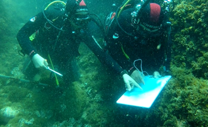 Anchor stock documentation