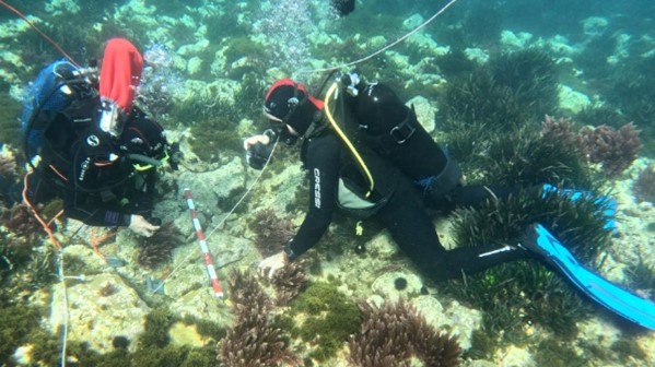 Diving team