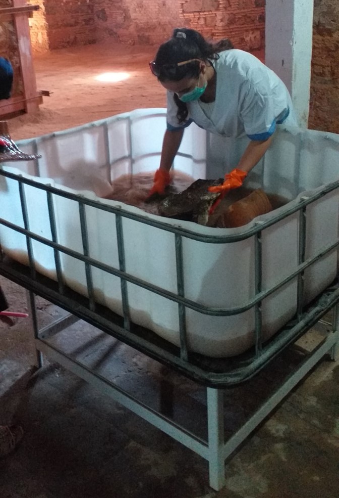 Conservation and restoration - documentation