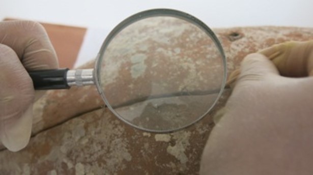 Conservation and restoration - artifacts