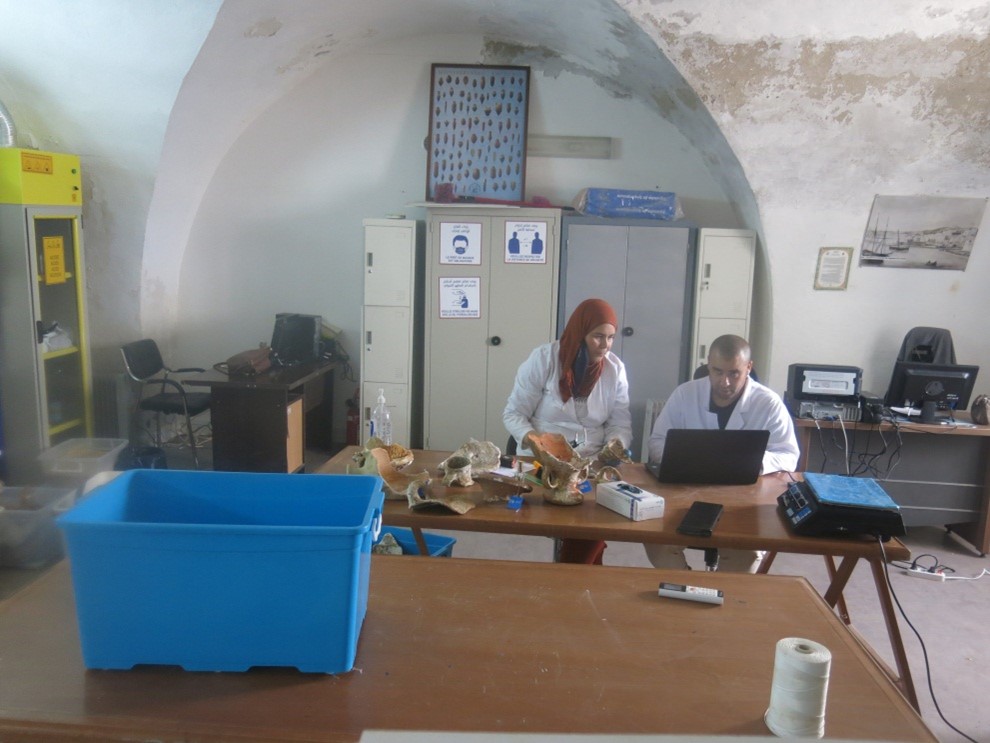 Inventory department - documentation